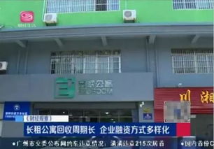 从财务人到“筑梦家” 深圳电视台专访壹家公寓创始人李树先生的创业之路