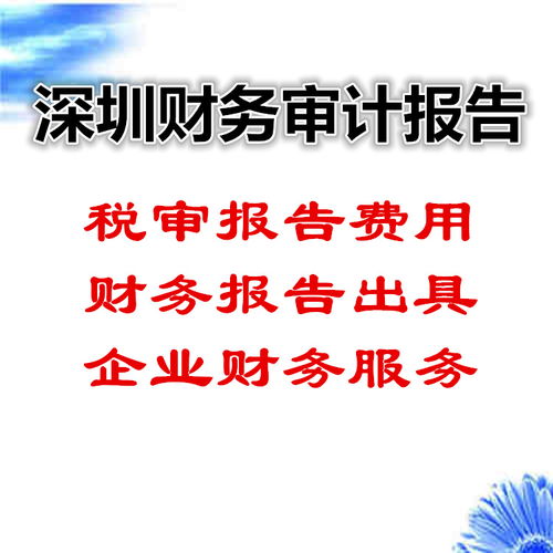 深圳企业财务审计报告编制全流程指南